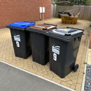 Bin/Food Caddy Cleans